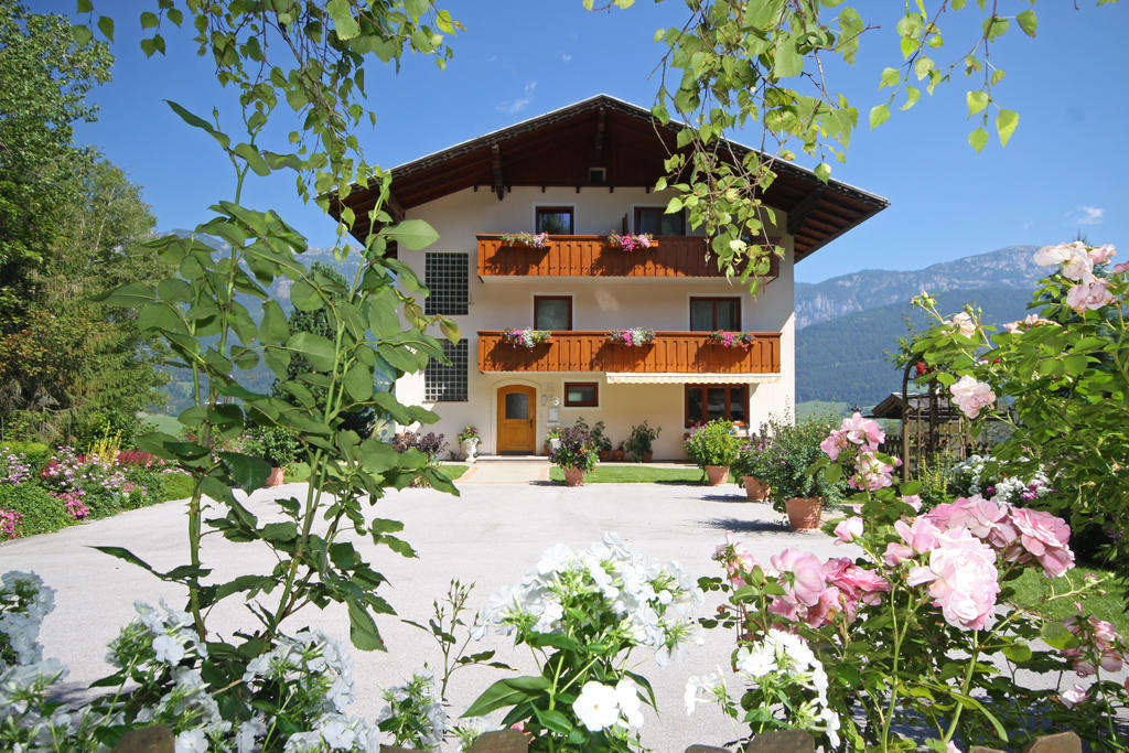 Отель Rosspointnerhof Хаус-им-Энншталь Экстерьер фото